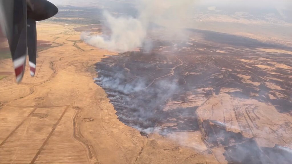 Maui Wildfires Kill at Least 55, Wipe Out Historic Town